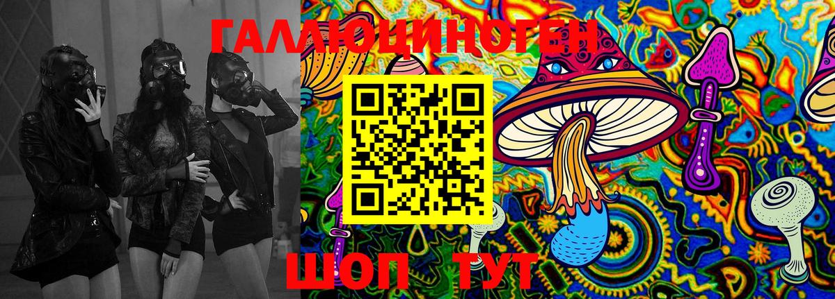 Алексин  наркошоп  Вход с VPN  Псилоцибиновые грибы Magic Shrooms 