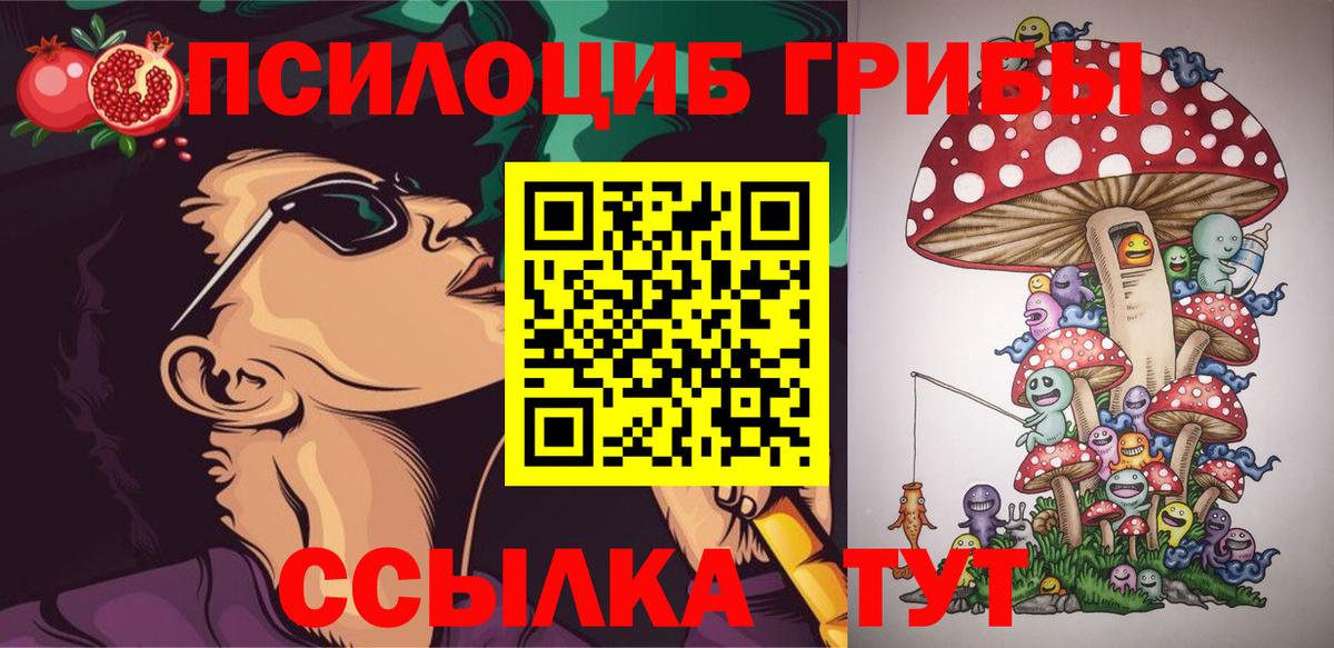 Галлюциногенные грибы Psilocybine cubensis Алексин